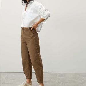 Everlane Fatigue Barrel Pant in Walnut